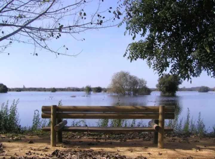 Currais O Pequeno Paraiso Entre O Mar E A Serra Aveiro Buitenkant foto
