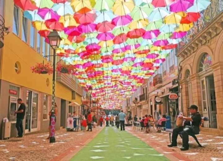 Currais O Pequeno Paraiso Entre O Mar E A Serra Aveiro Buitenkant foto